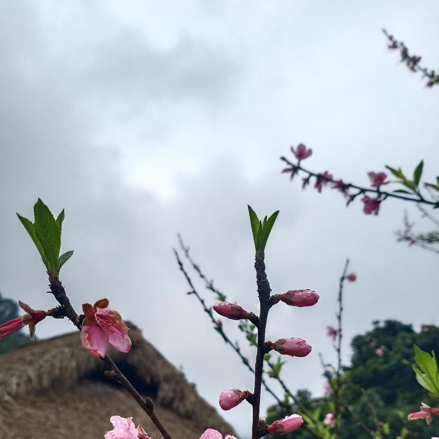 Dao Homestay Hoang Su Phi المظهر الخارجي الصورة