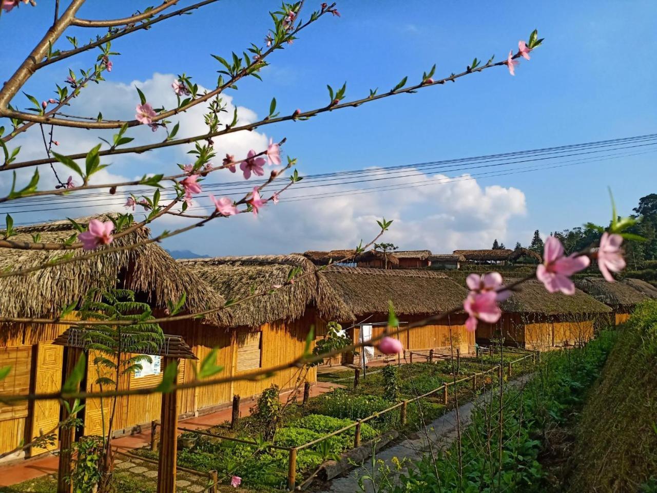 Dao Homestay Hoang Su Phi المظهر الخارجي الصورة